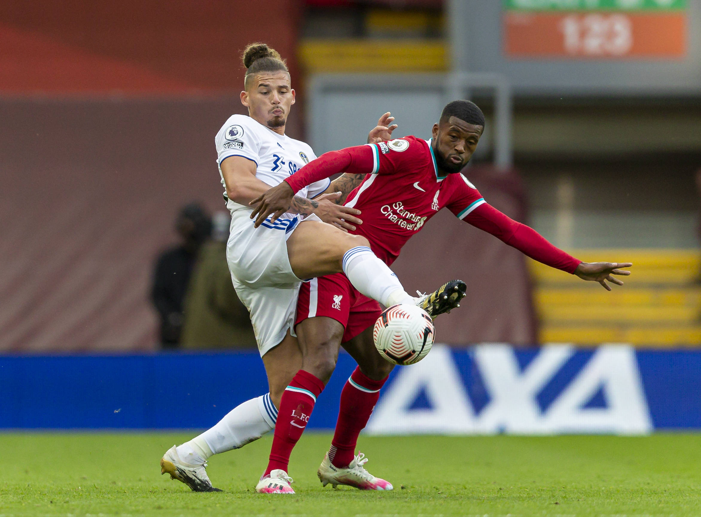 缺乏稳定的 缺乏稳定的